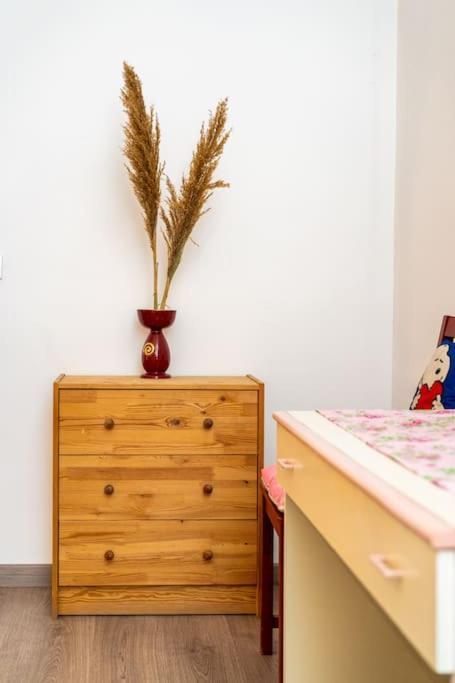 Guesthouse Pet'S Friendly Quattromiglio Экстерьер фото